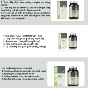 Combo hỗ trợ Thần kinh - Alzheimer - Parkinson
