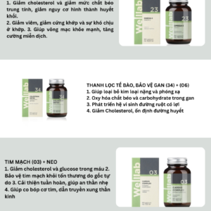 Combo hỗ trợ giảm mỡ máu, cholesterol