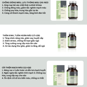Combo hỗ trợ mất ngủ - trầm cảm - an thần từ thảo dược