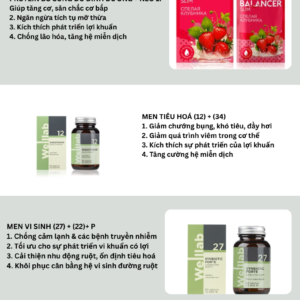 Combo hỗ trợ viêm dạ dày, tá tràng từ thảo dược