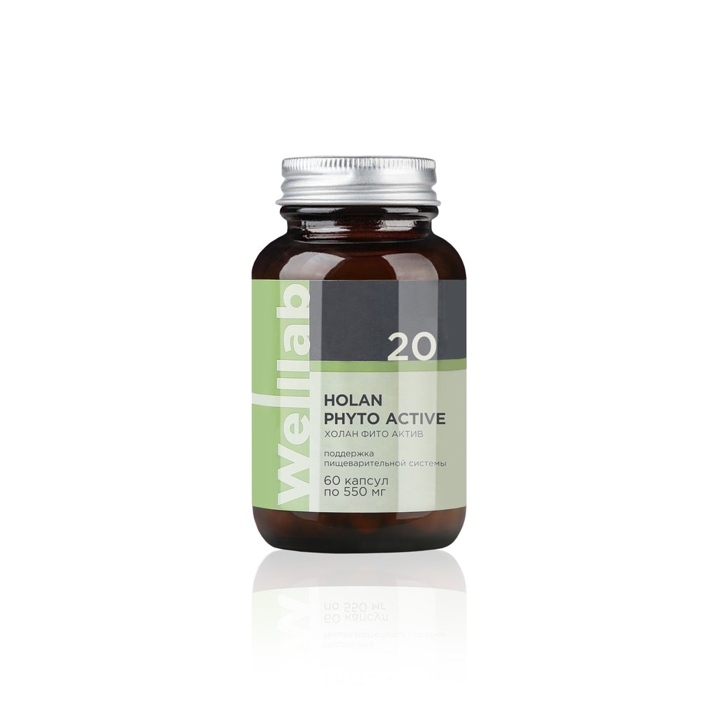Welllab HOLAN PHYTO ACTIVE giải độc gan mật 20