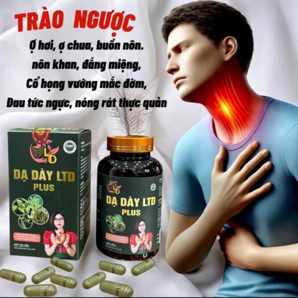 Dạ Dày LTD Plus – Đặc Trị Tiêu Hoá Dạ Dày Tá Tràng Hiệu Quả